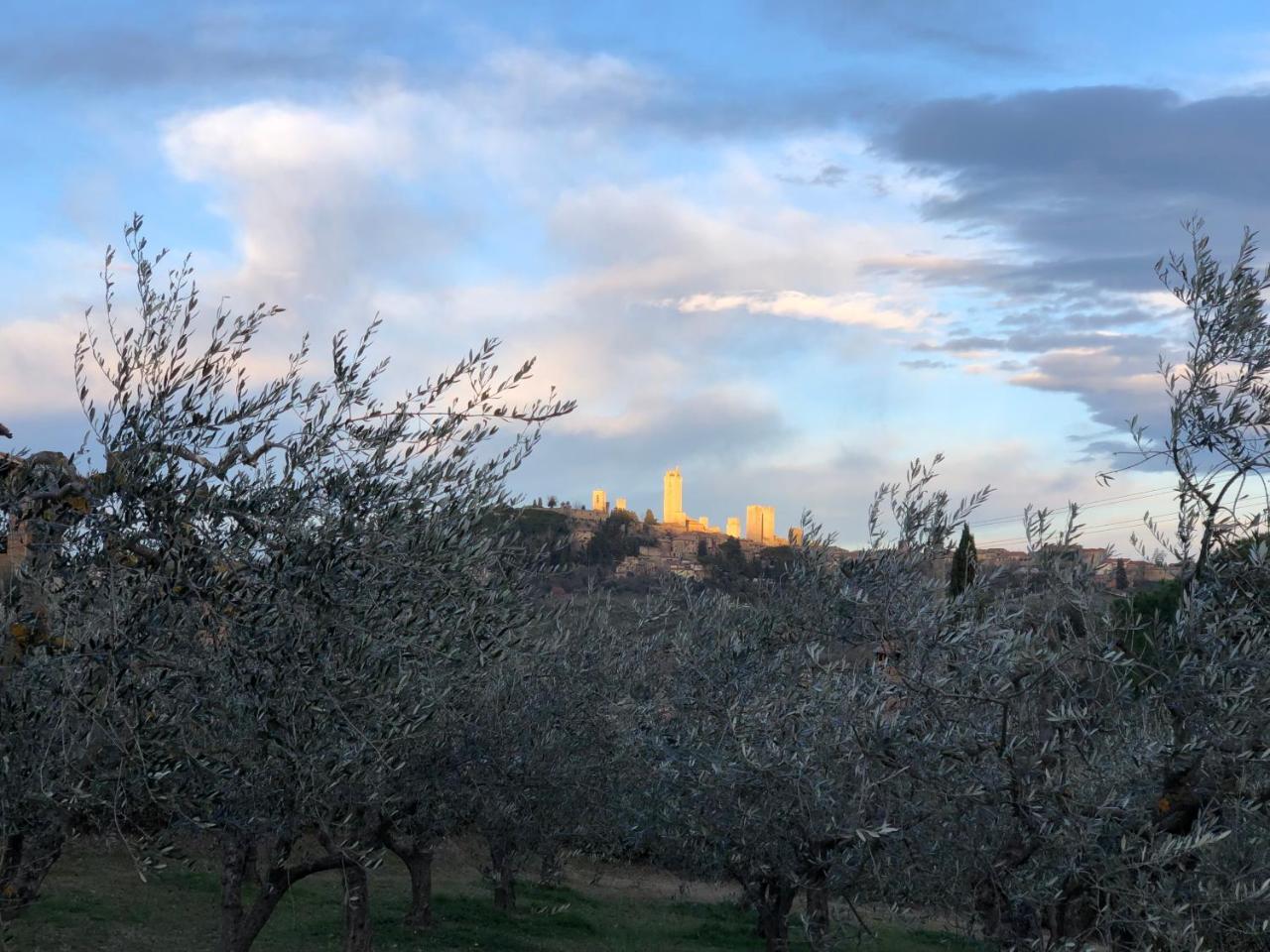 Podere Bellavista San Gimignano Exterior foto